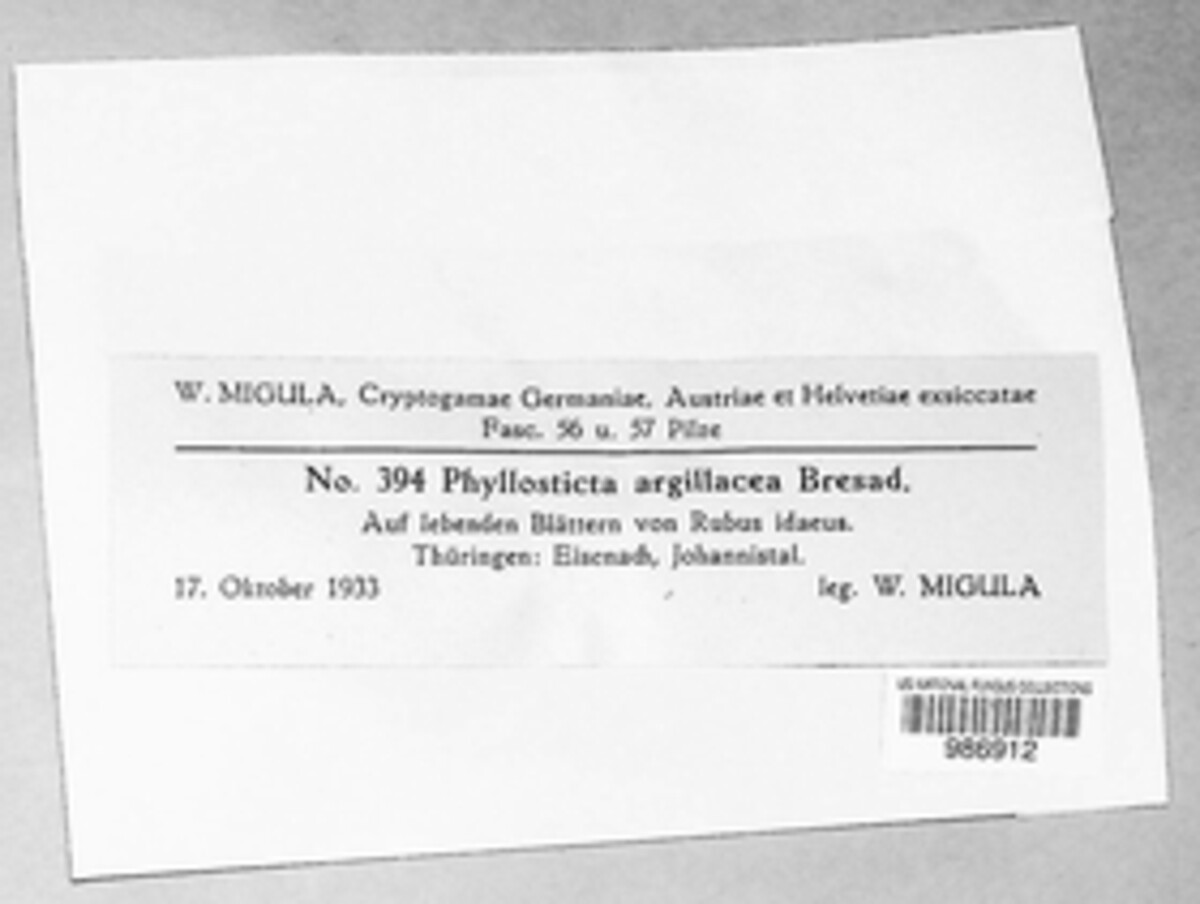 Xenodidymella applanata image